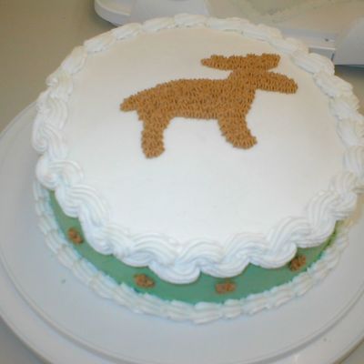 Crystal's Moose Shower Cake