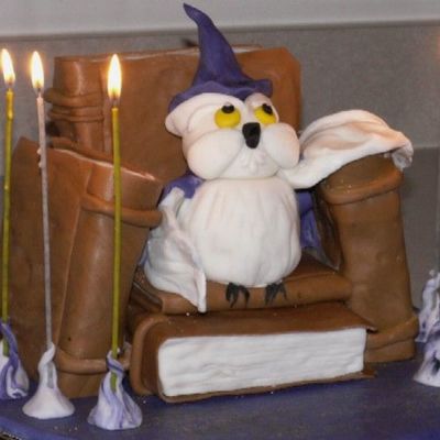 Wizard Owl Cake For Harry Potter Party