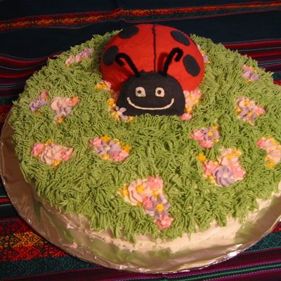 Lady Bug In A Garden