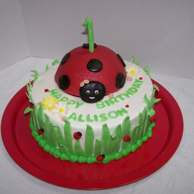 Lady Bug Cake