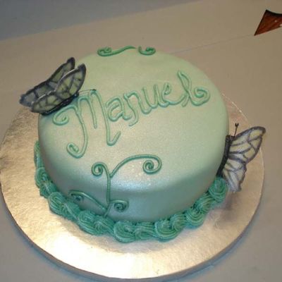 Butterfly Cake