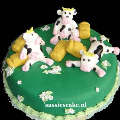 Cow Cake