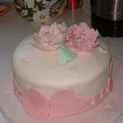 Clase De Pasta Laminada