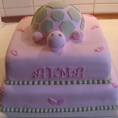 Turtle Cake