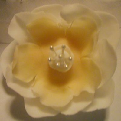 I Am Taking The Elegant Fondant Class