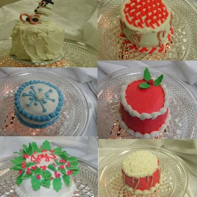 6 Mini Cakes