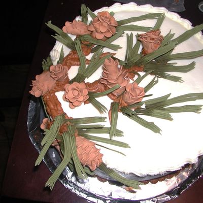 Pinecone Cake