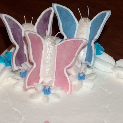 Close Up Of Butterflies