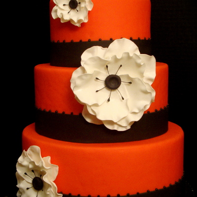 Coral And Anemones