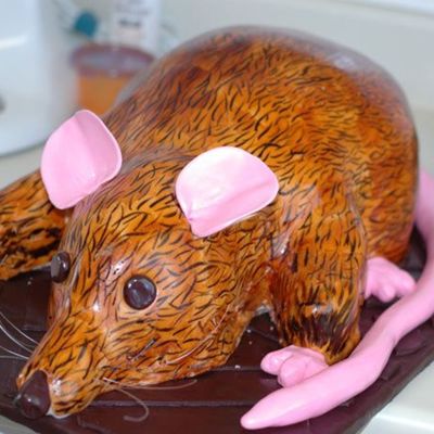 Cheyenne's Rat Cake