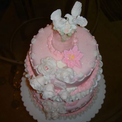 Wilton3 Fondant View2