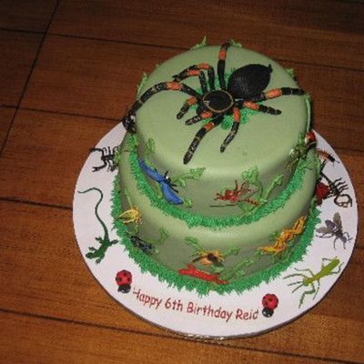 Bug Cake