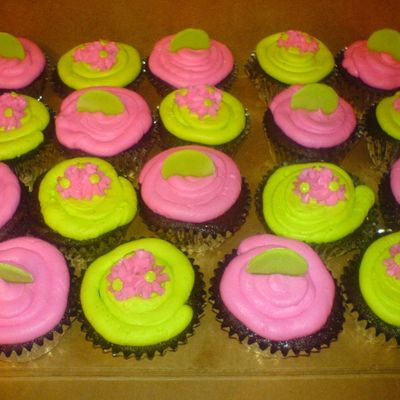 Chocolate Cupcakes