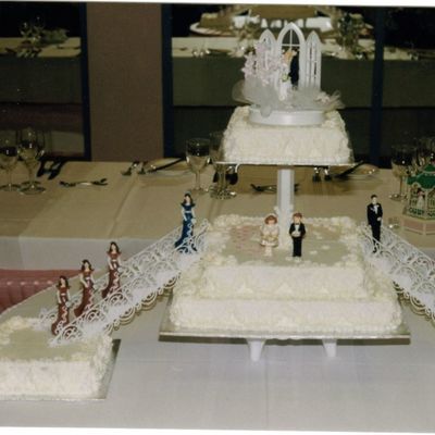 Barb's Wedding Cake