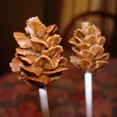 Mini Pinecone