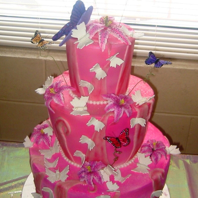 Pretty In Pink And Butterflies