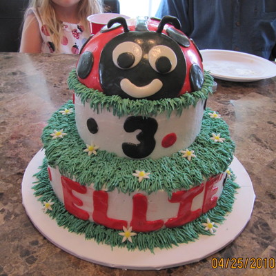 3Rd Birthday Ladybug Cake