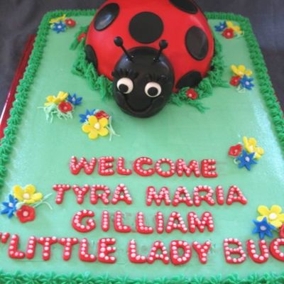 Lady Bug Cake