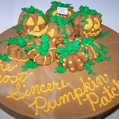 The Most Sincere Pumpkin Patch