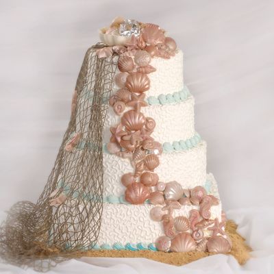 Seashells By Sea Shore