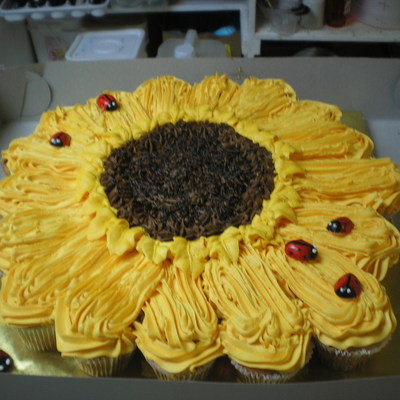 Lady Bugs And Sunflower