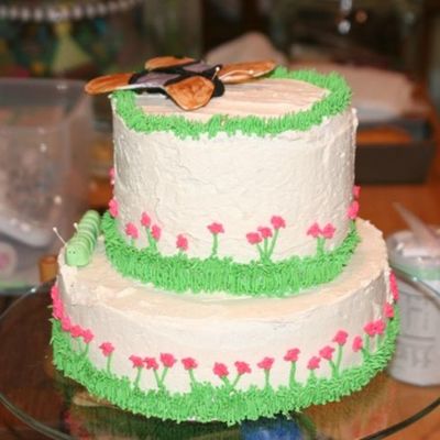 Caterpillar To Butterfly Cake
