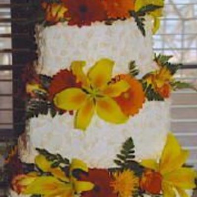 My Wedding Cake