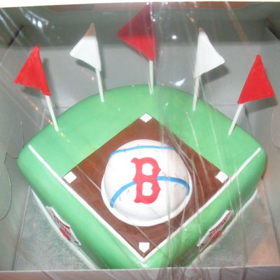 Boston Red Sox Field