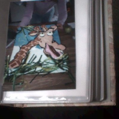 Giraffe Cupcake Cake