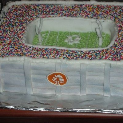 Auburn Stadium Birthday Cake