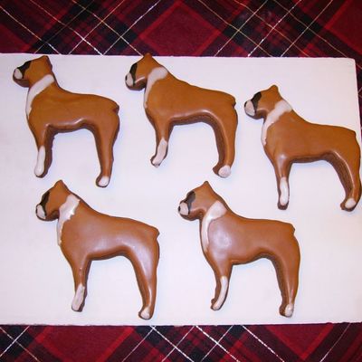 Boxer Cookies