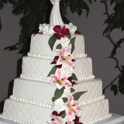 Star Gazer And Diamond Pattern