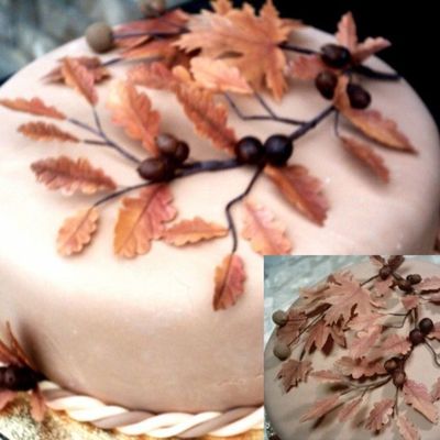 Australian Father's Day