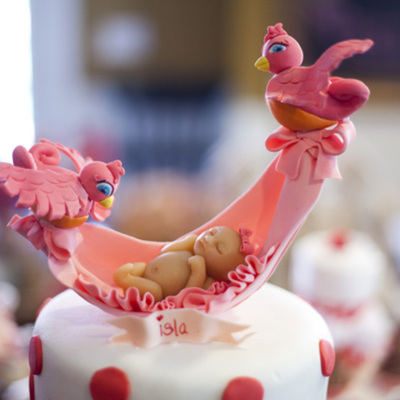 Marzipan Baby And Sparrows