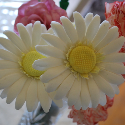 White Daisies