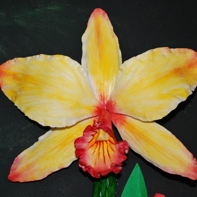 Cattleya