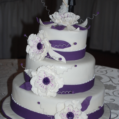 Purple & White