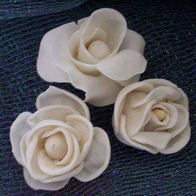 My First Fondant Flowers