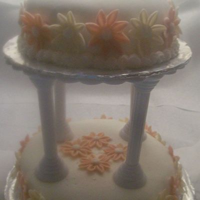 Final Cake For Wilton Class 3