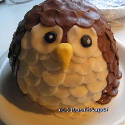 Owl Cake