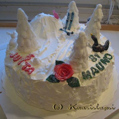 Winter Cake For A Shared Birthday