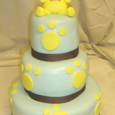 Litte Boy's First Birthday..