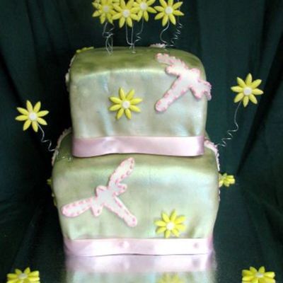 Dragonfly Cake..
