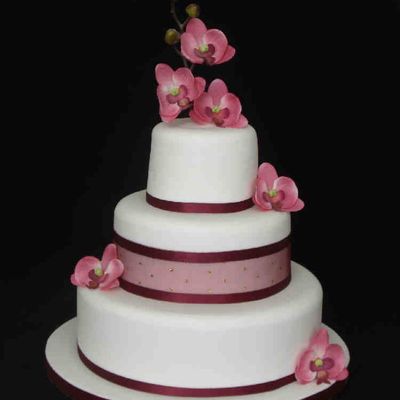Wedding Cake With Orchids And Ribbon