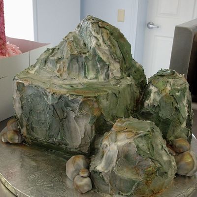 Rock Climbing Groom's Cake