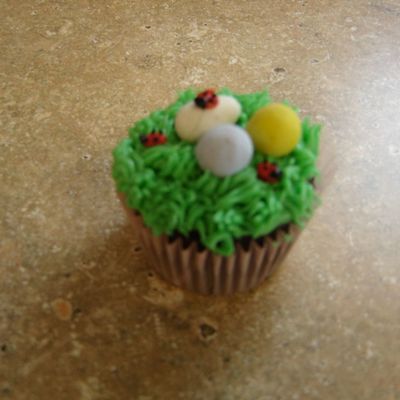 Spring Cupcakes