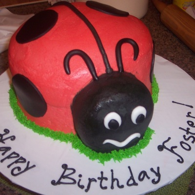 Ladybug