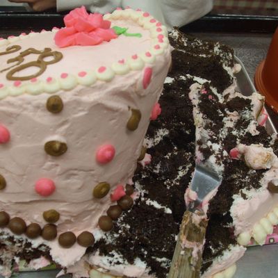 Another Brownie Flop