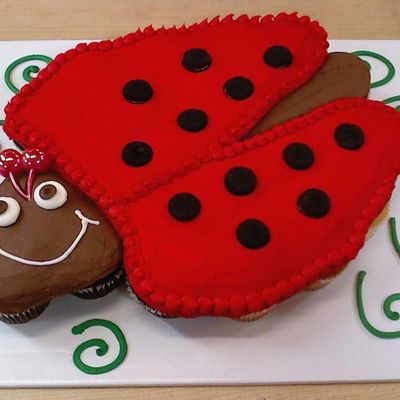 Ladybug