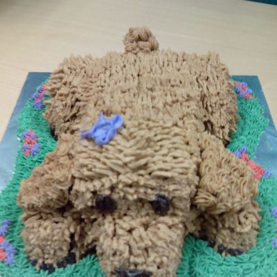 Doggie Cake - Front Profile